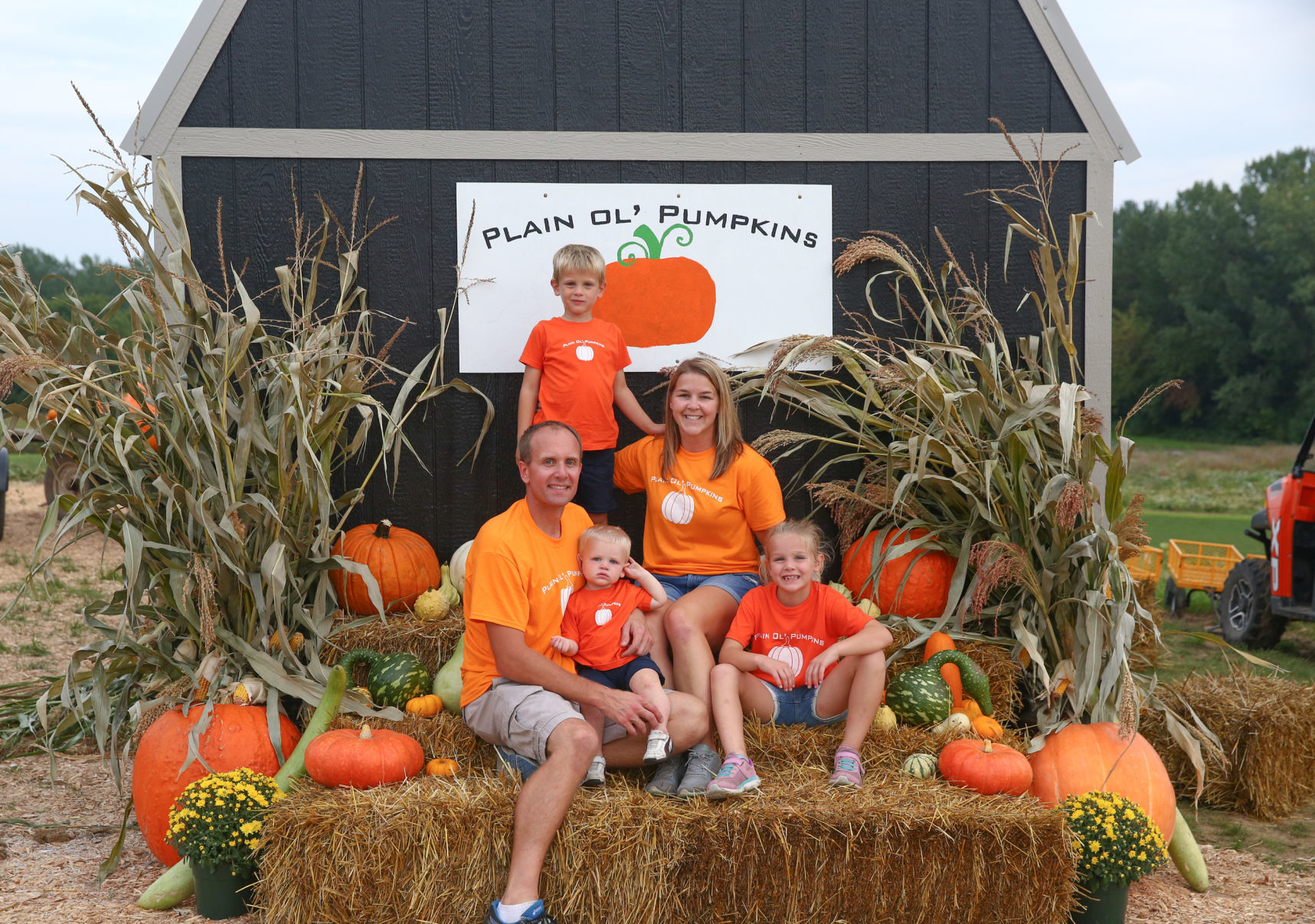 Plain Ol' Pumpkins - 5